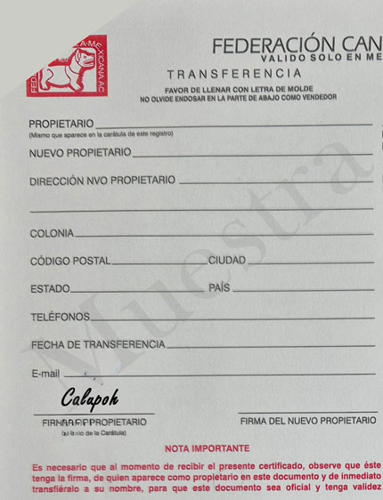 Se muestra el apartado del propietario del Pedigrí de la FCM, que debe de ir firmado.