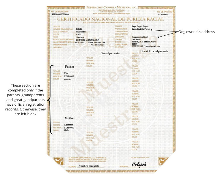 Se muestan os elementos del Certificado de Pureza Racial en perros.