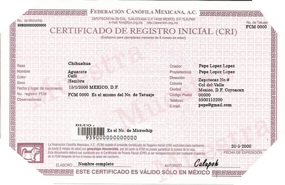 Se muestan os elementos del Certificado de Registro Inicial en perros.