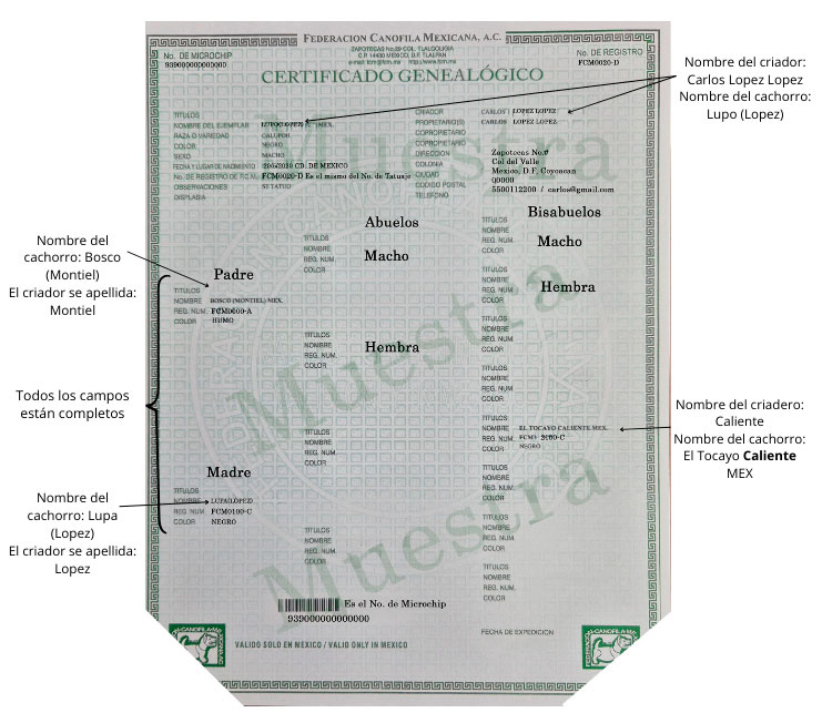 Se muestan os elementos del Pedigrí (color verde) en perros.